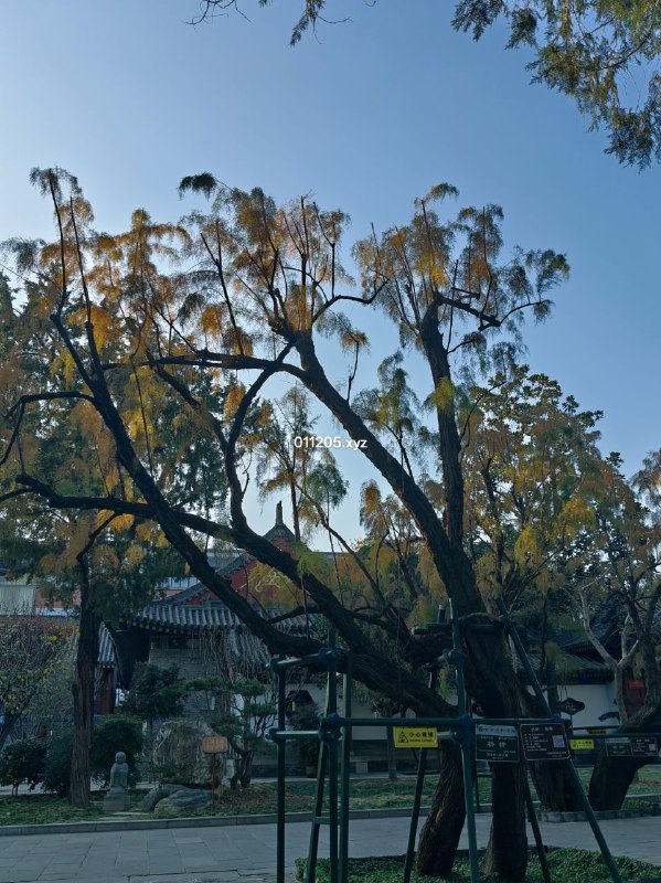 12.07 碎片：西安 · 大雁塔12.07 碎片：西安 · 大雁塔