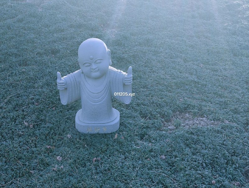 12.07 碎片：西安 · 大雁塔12.07 碎片：西安 · 大雁塔