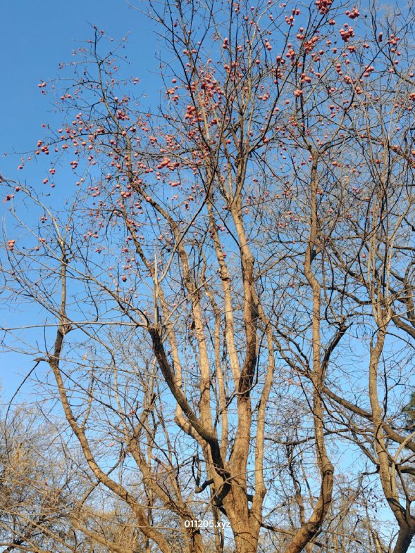 12.07 碎片：西安 · 大雁塔12.07 碎片：西安 · 大雁塔